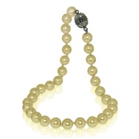 NSB12/45-g NSB12/45-g