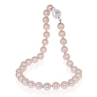 NSB12/45-pk NSB12/45-pk